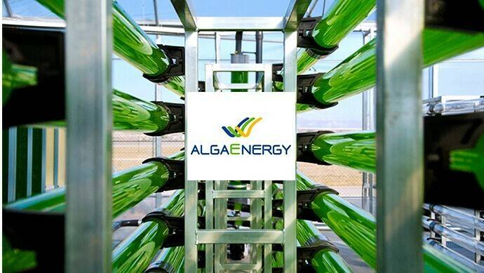 algaenergy|onestowatch|algaenergy|Agrialgae - garrfas